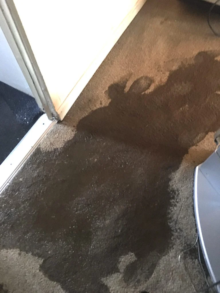 Flood damage restoration: water extraction