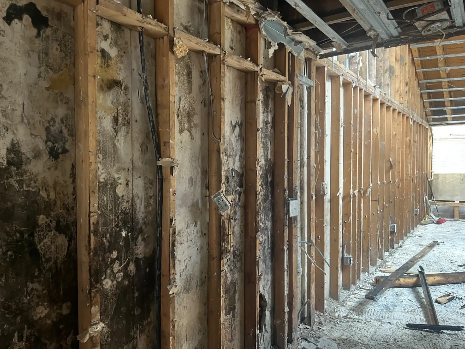 Mold damaged studs in an opened wall cavity