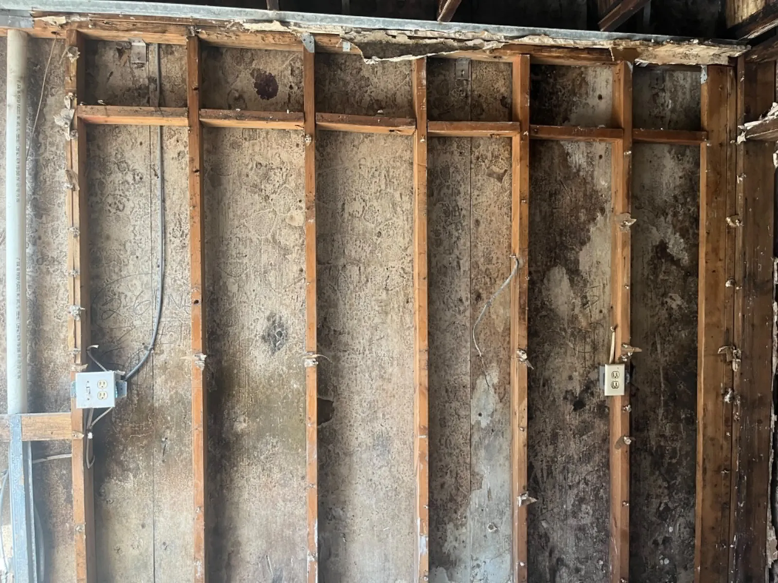 Mold growth on wall framing after water intrusion
