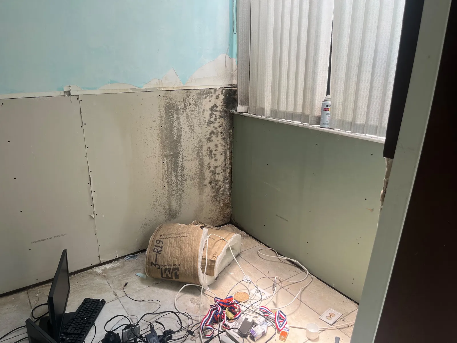 Mold growth on interior wall corner