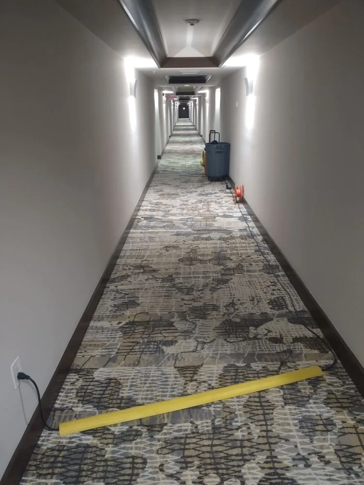 Professional sewage cleanup and sanitization